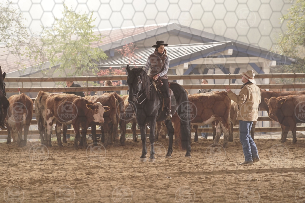 s_K3F08735.JPG
